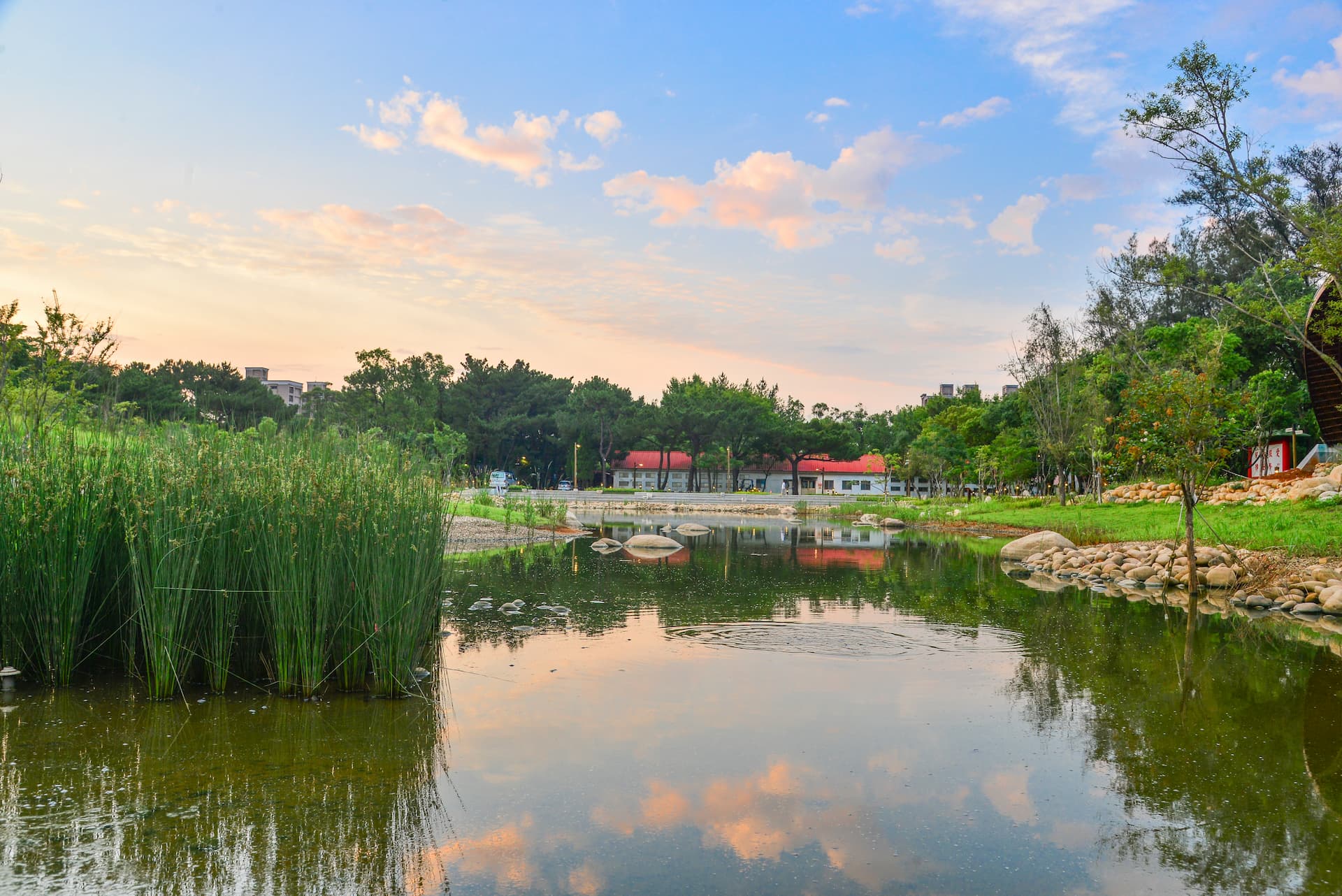 桃園公園