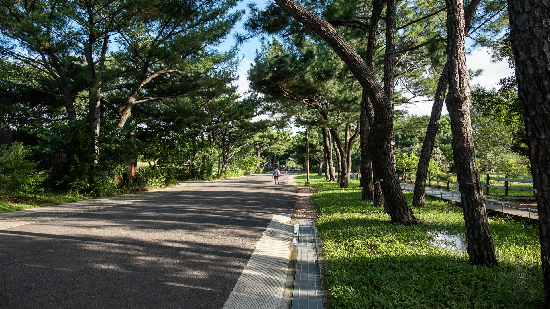 大湳森林公園 : 桃園八德親子遊景點分享 (停車資訊與園區導覽)