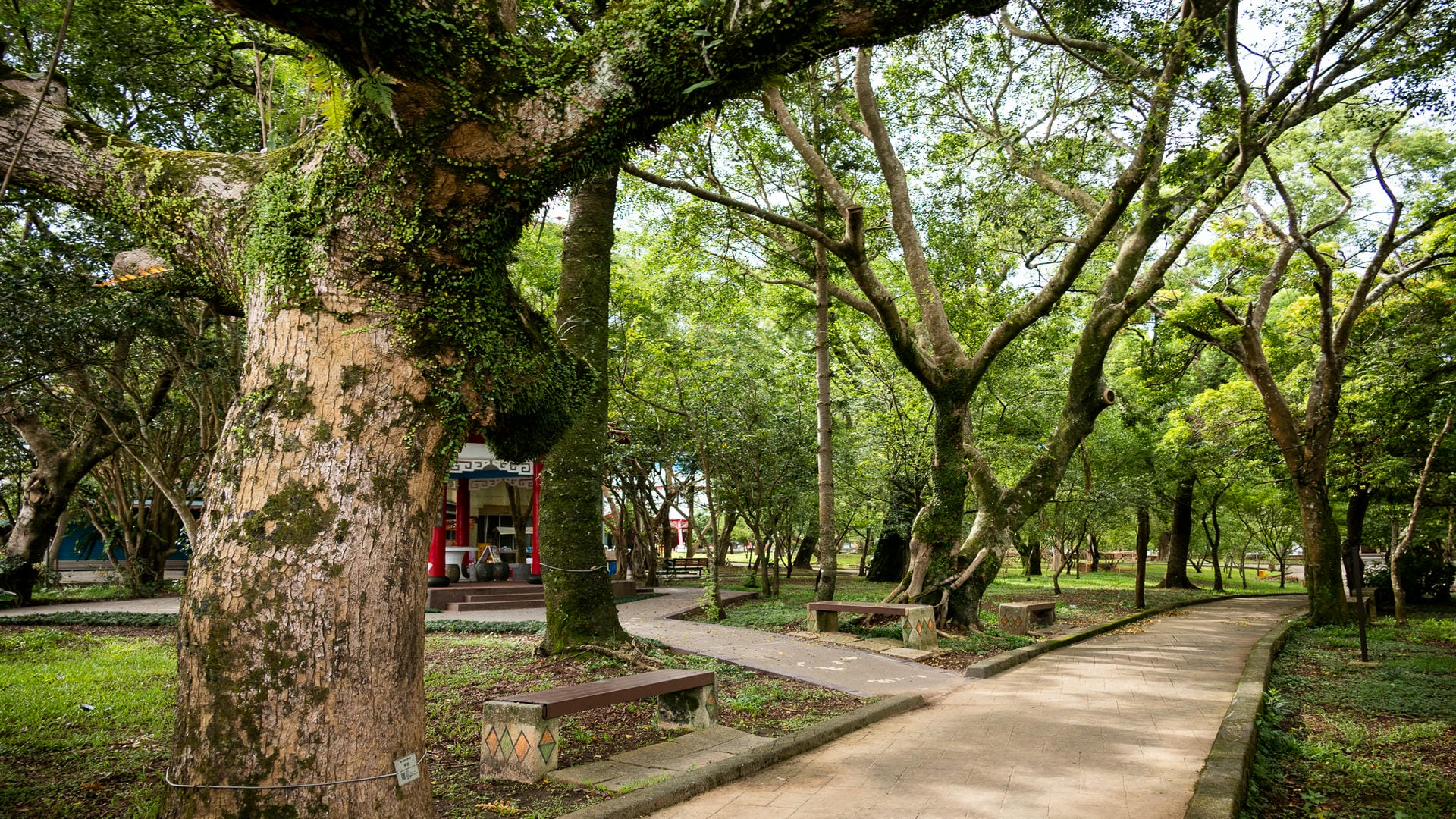 桃園復興景點|角板山行館|一日遊逛角板山公園,品嚐角板山老街美食