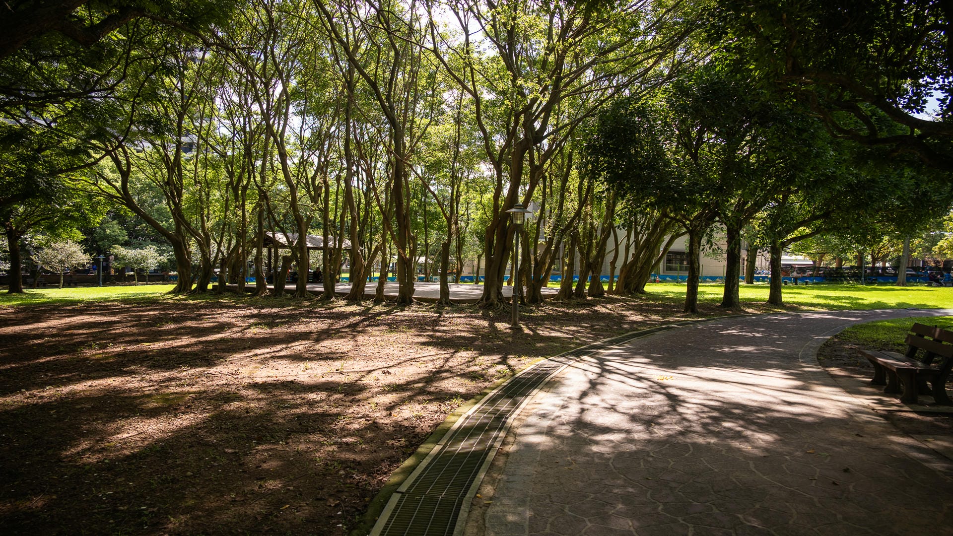 埔頂公園