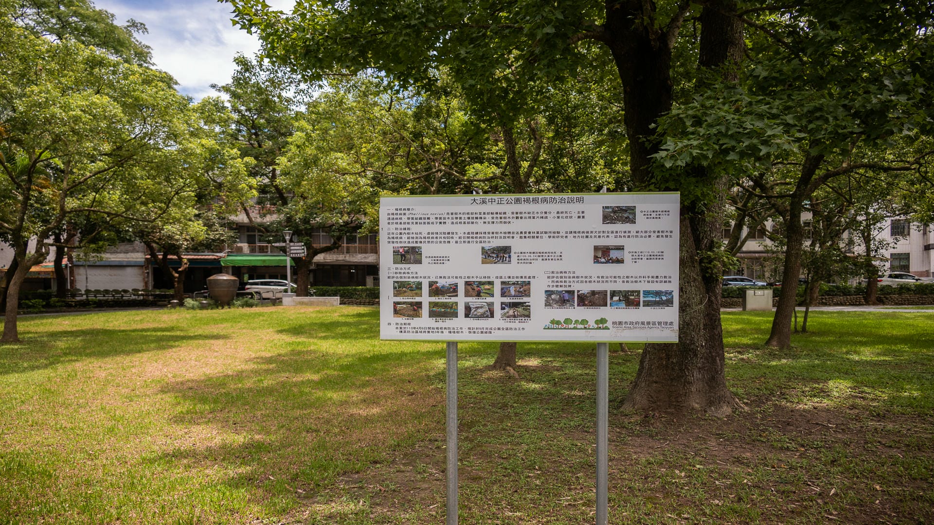 大溪中正公園