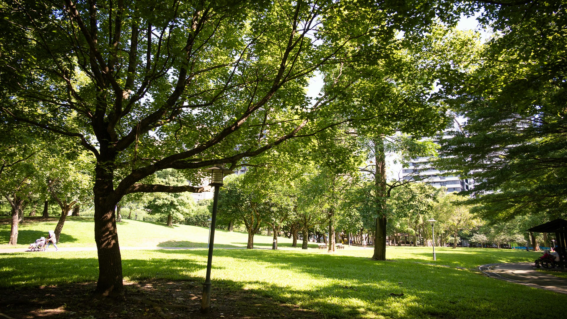 埔頂公園
