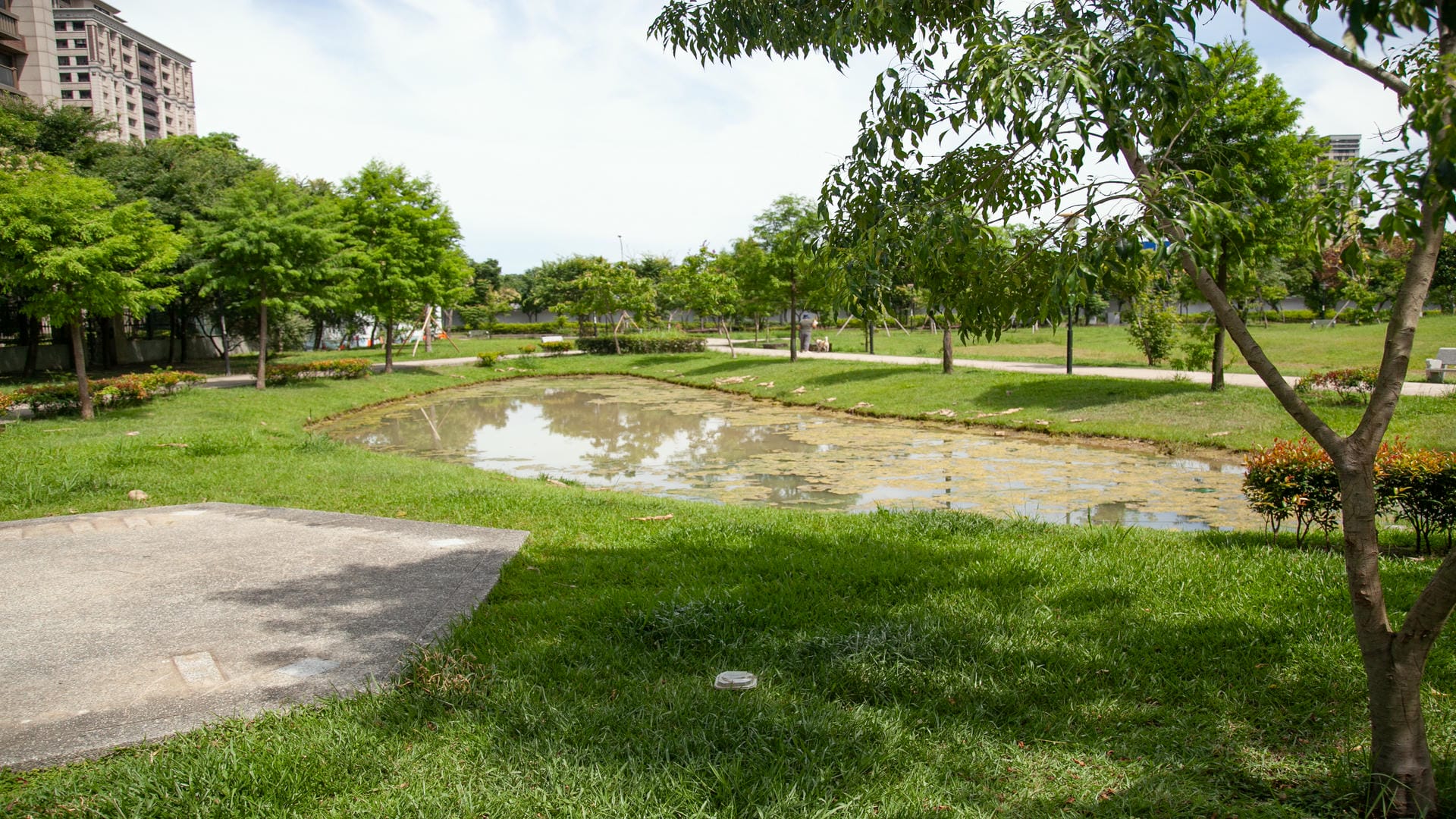 青埔公七公園