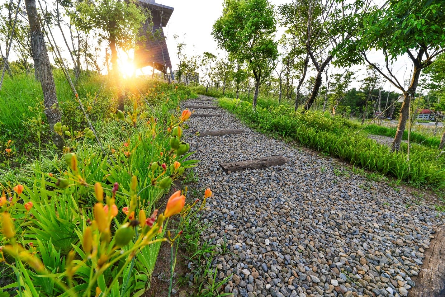 大湳森林公園