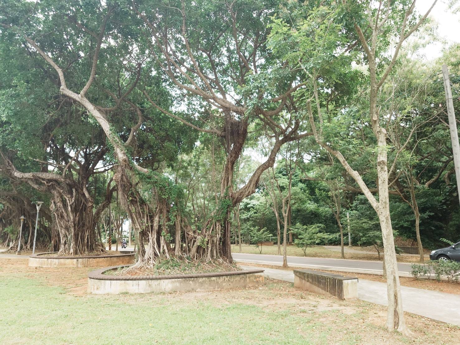 雙連坡碉堡公園