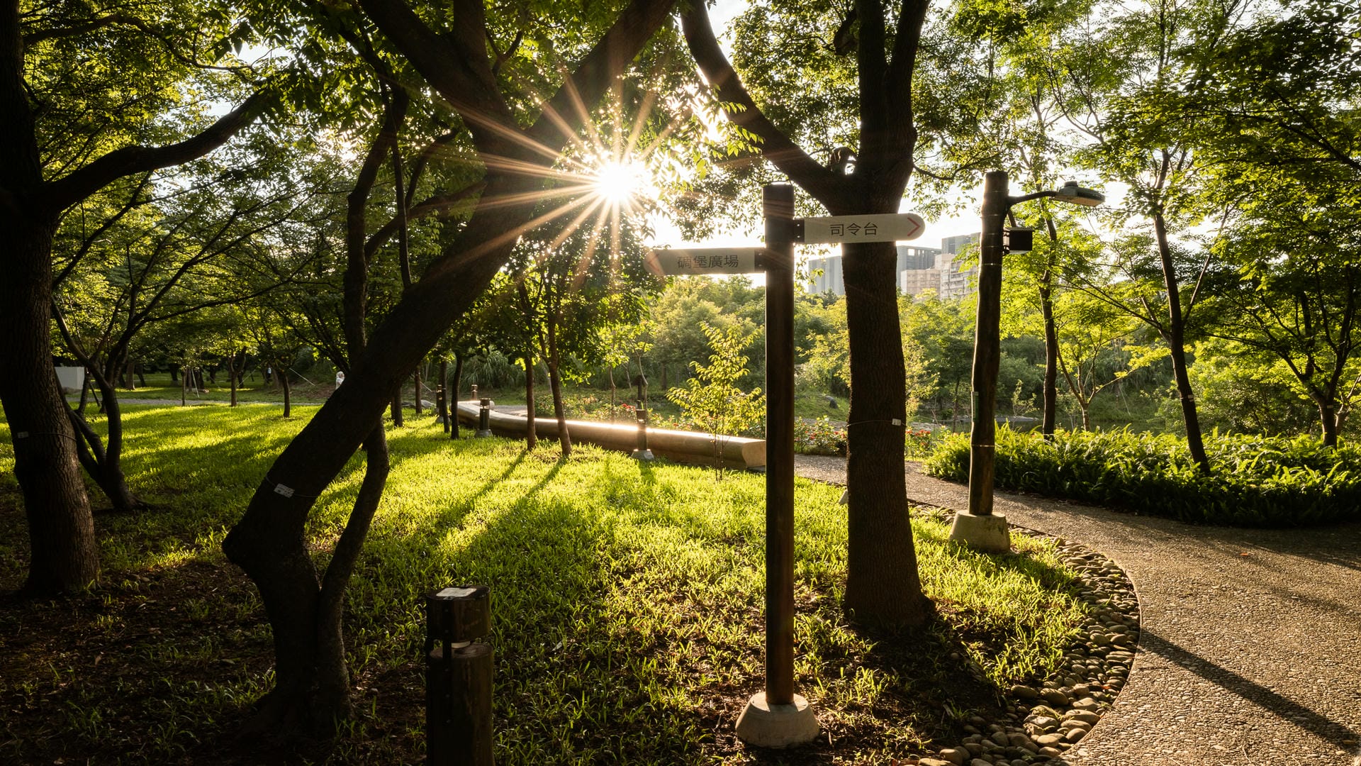 大湳森林公園