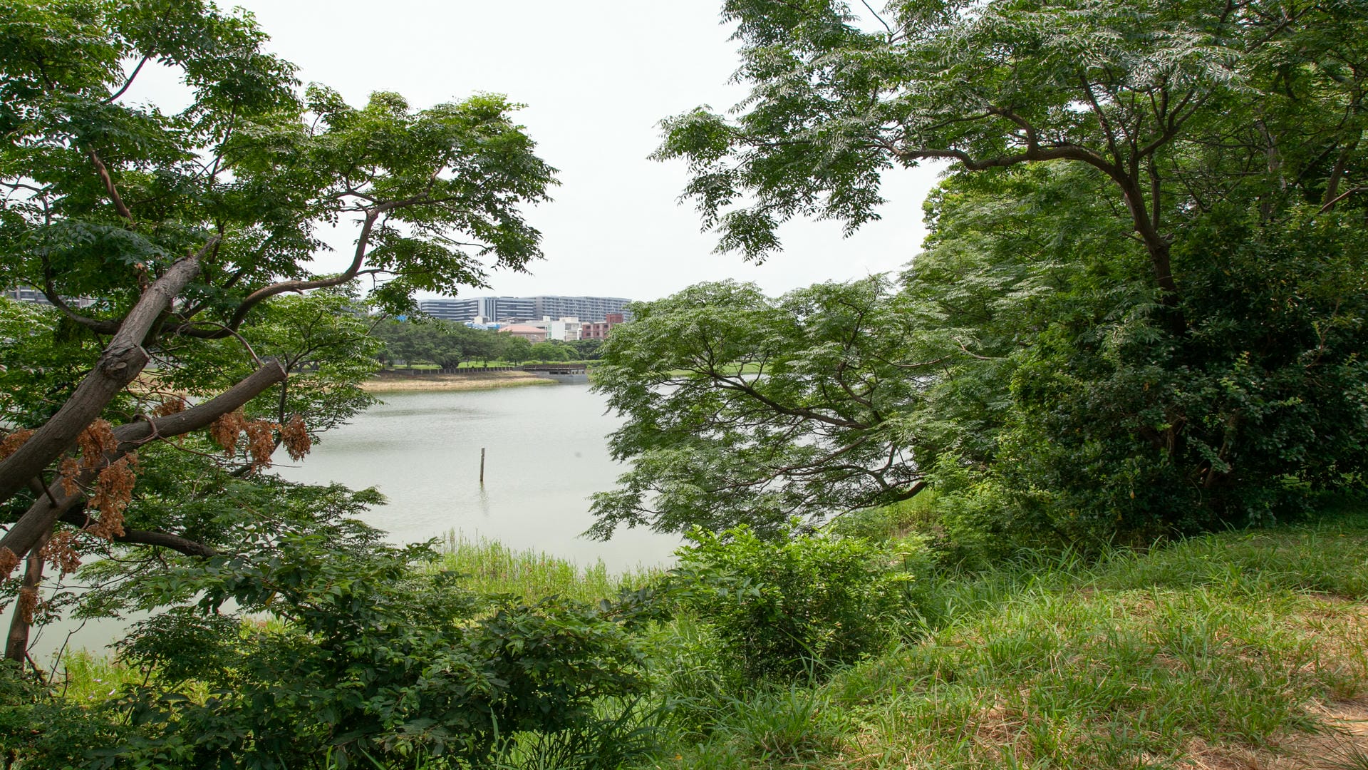 公一公園（橫山書法公園）