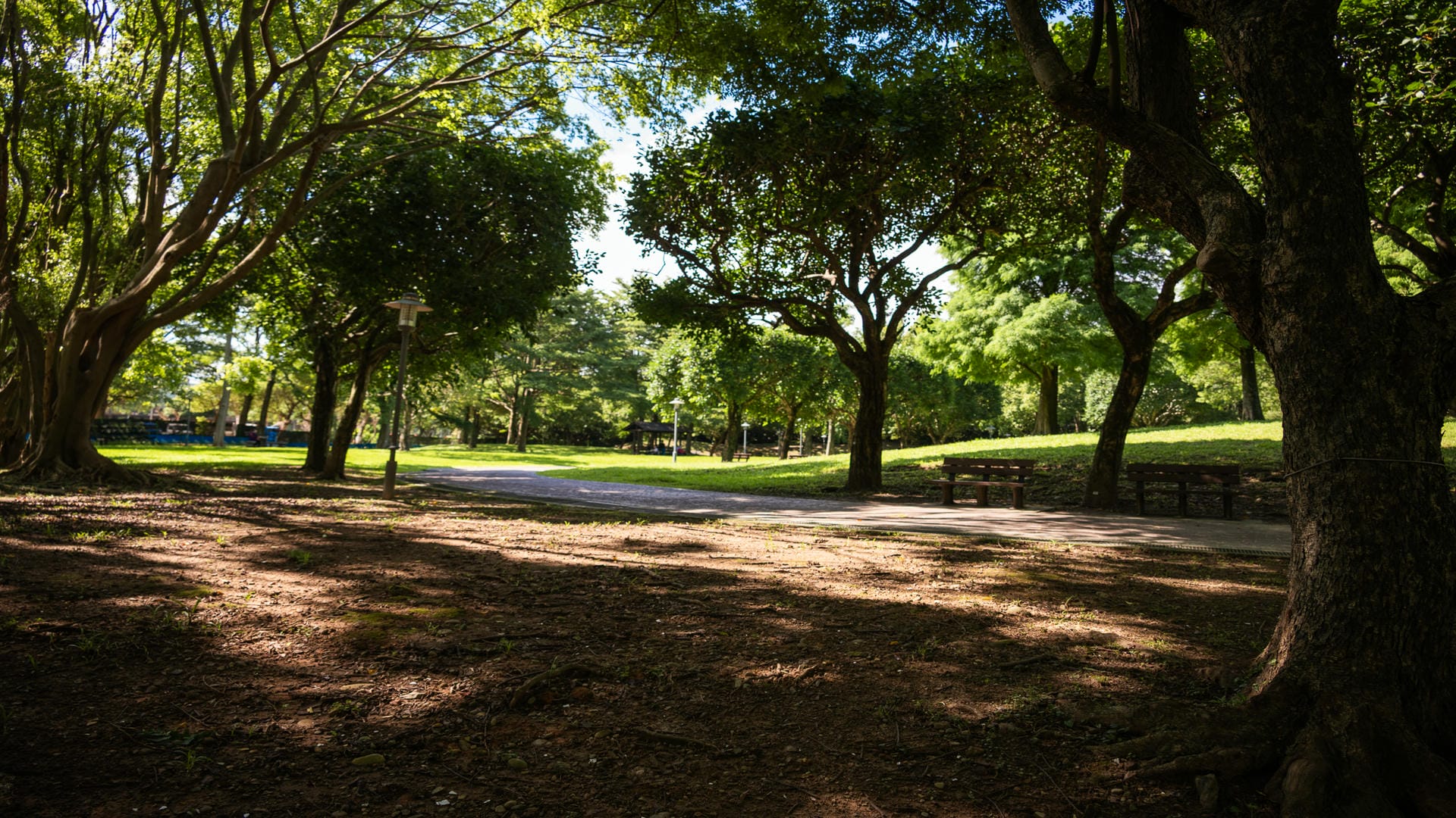 埔頂公園