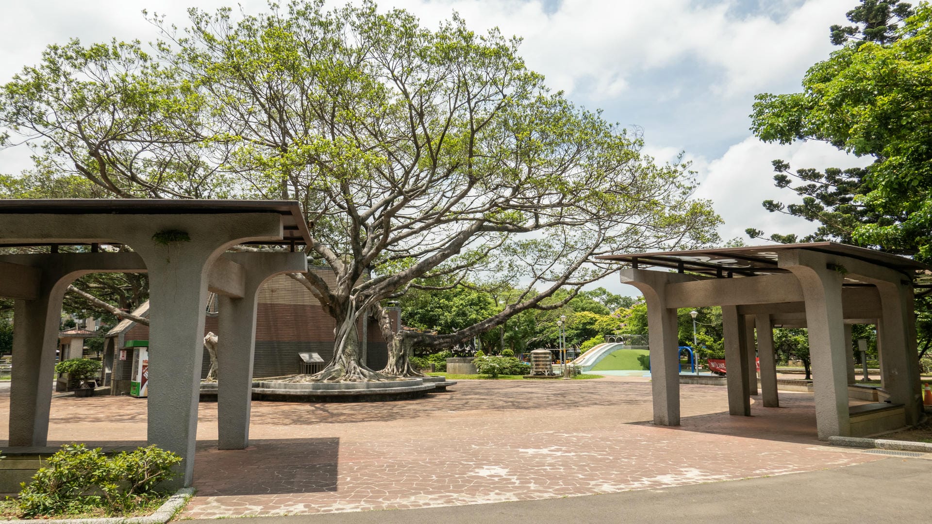 藝術園區公園