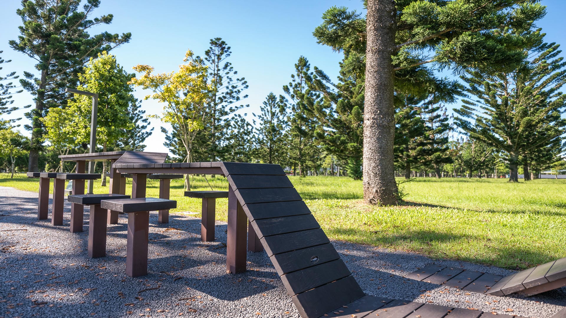 綠杉林公園