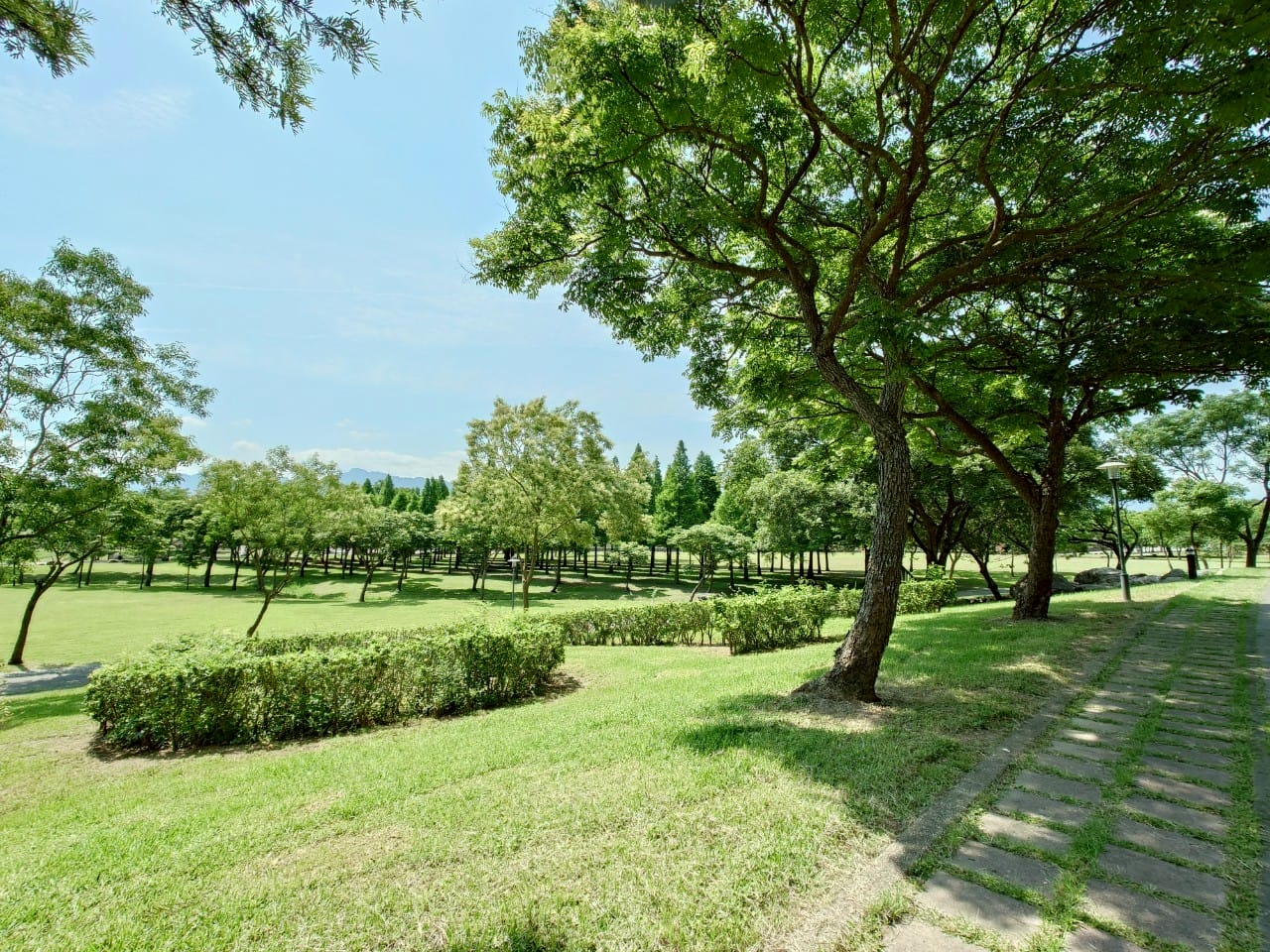 大溪河濱公園