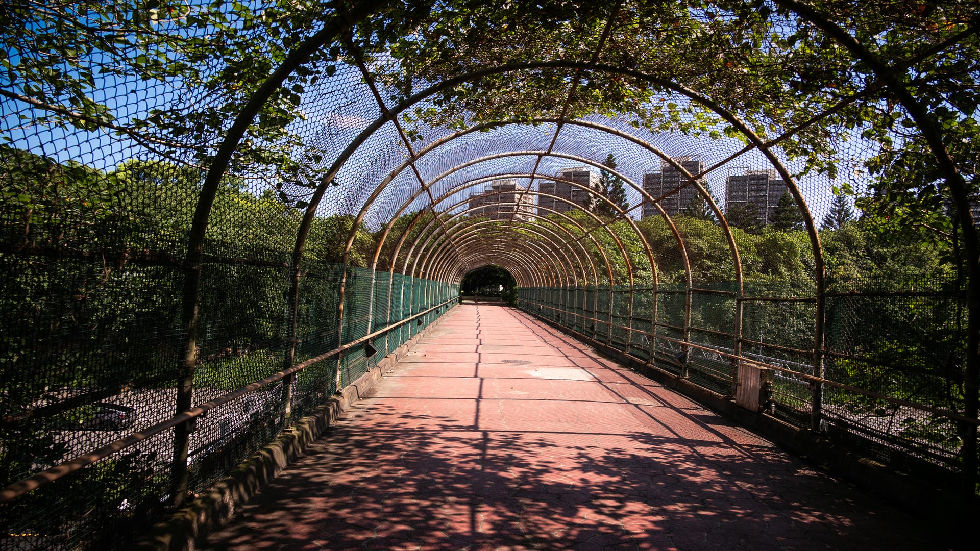 埔頂公園