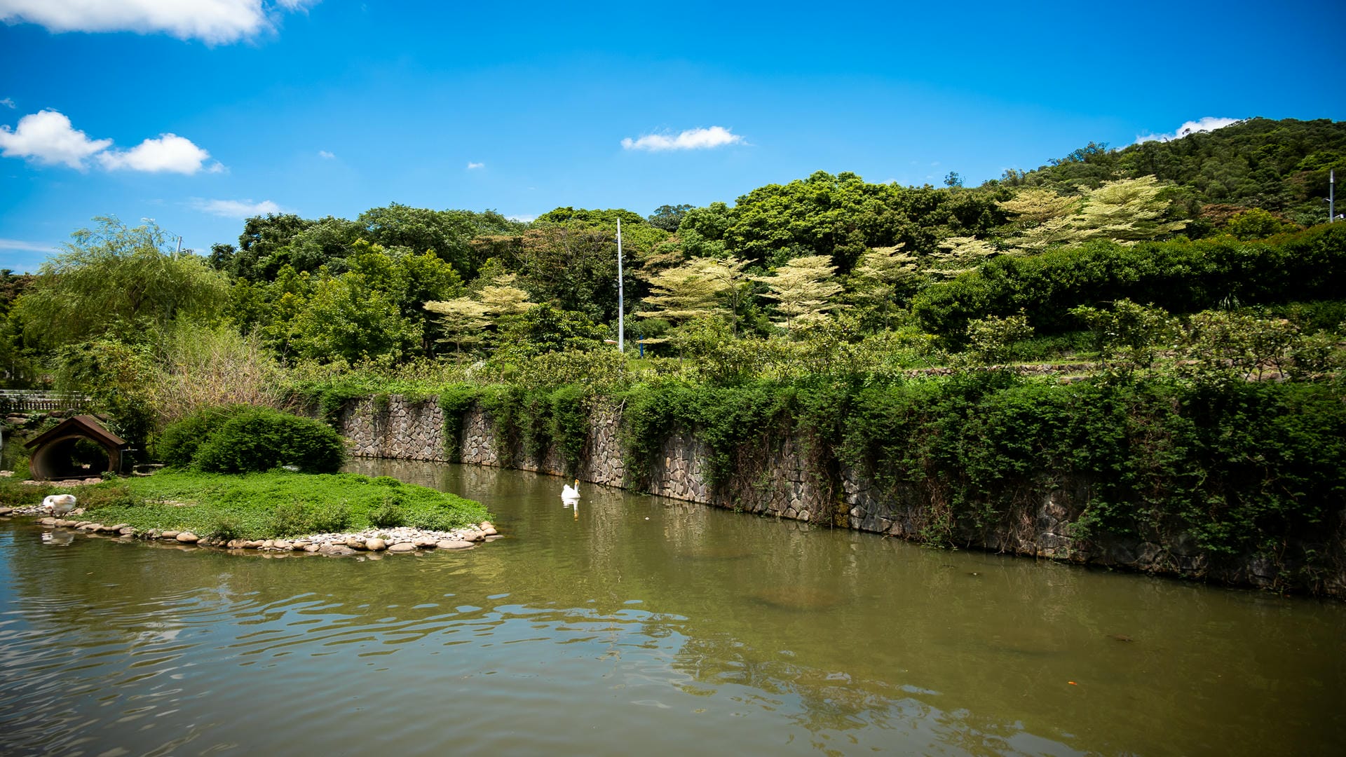 大有梯田生態公園