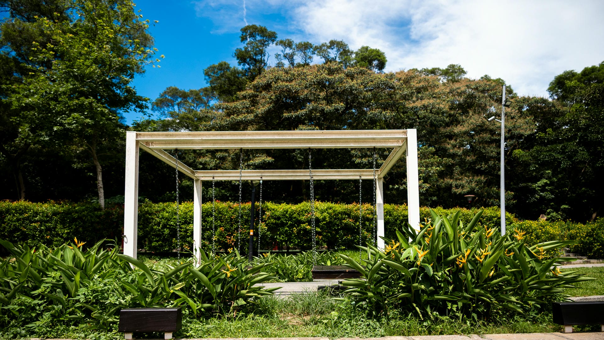 大有梯田生態公園