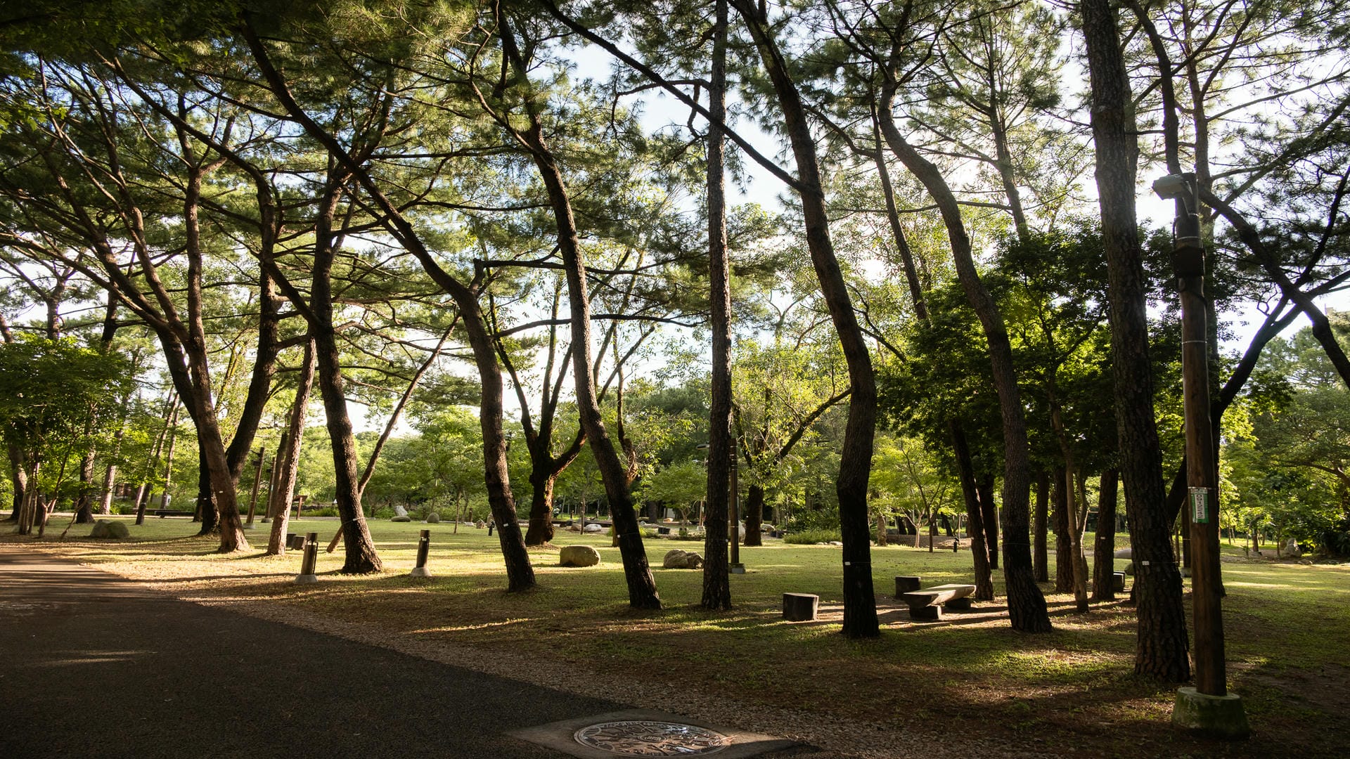 大湳森林公園