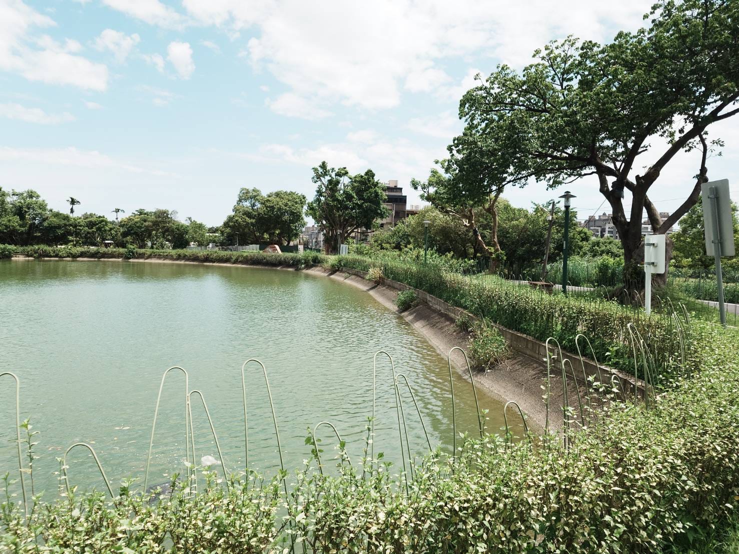 鑊篤陂塘生態公園