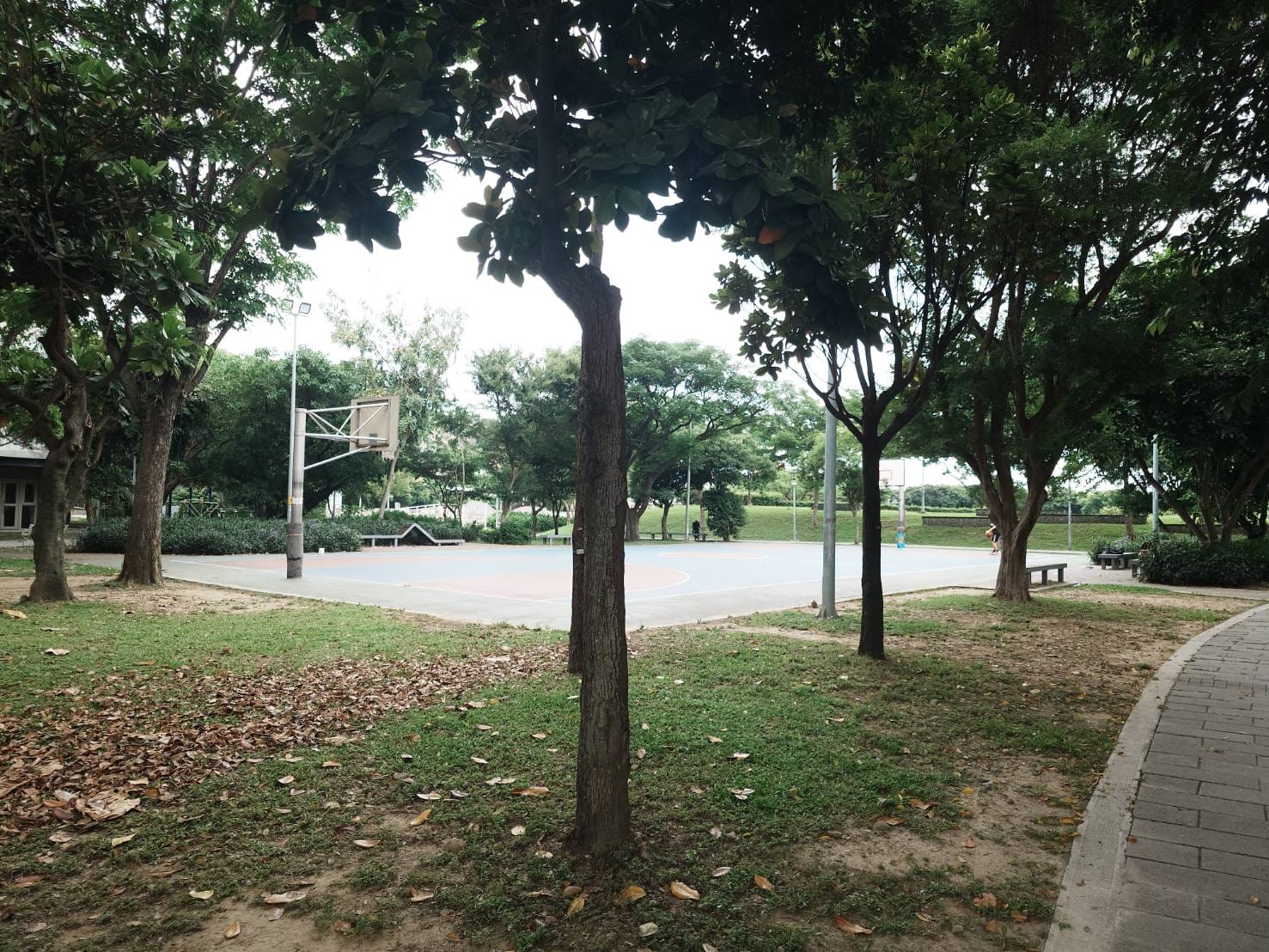 新勢公園