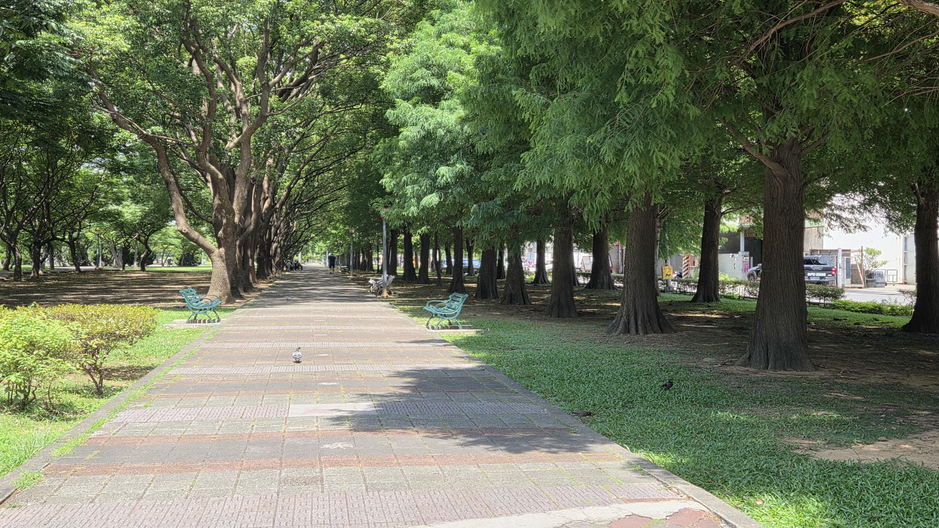 玉山公園