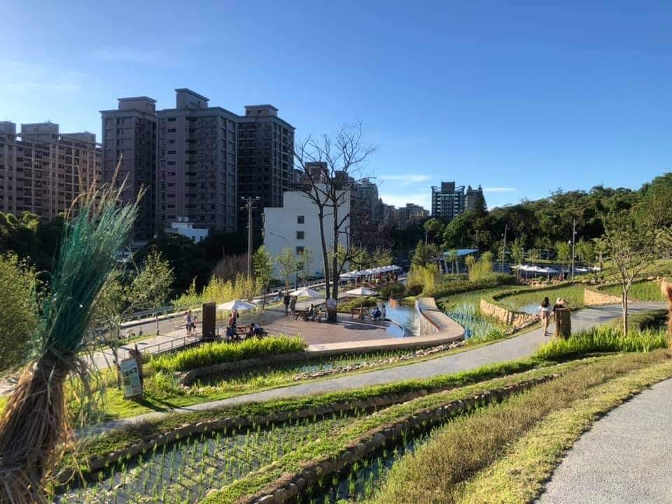 大有梯田生態公園