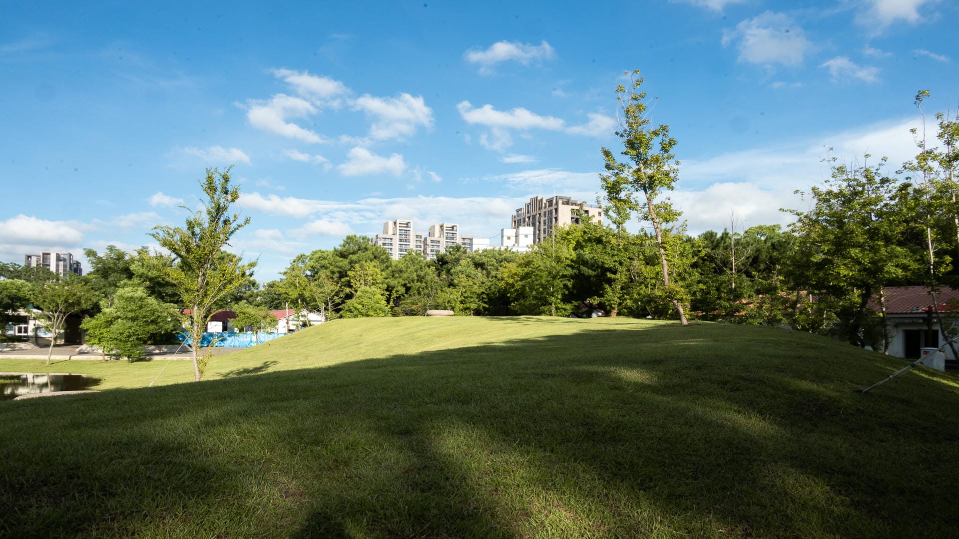 大湳森林公園
