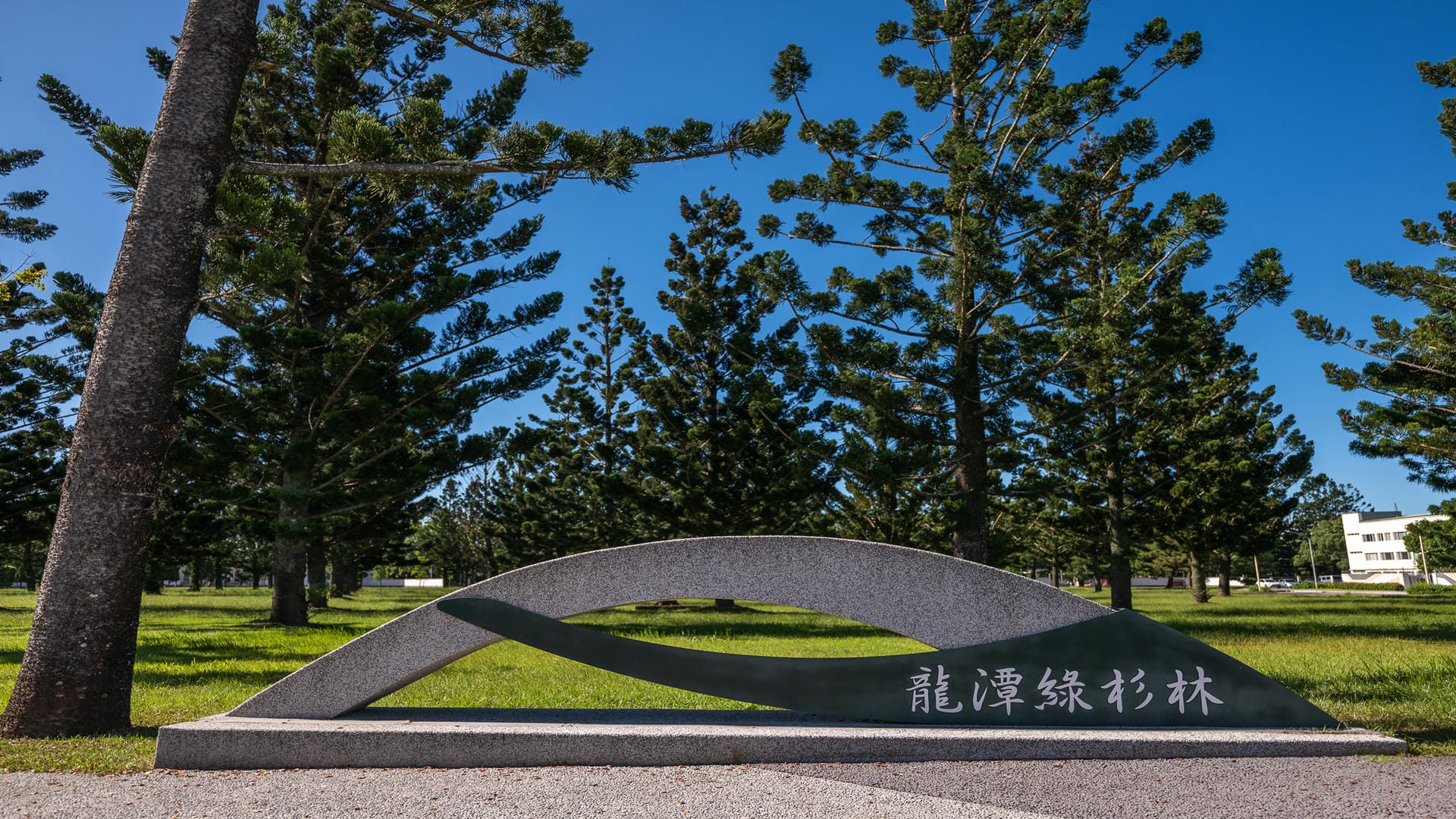 綠杉林公園