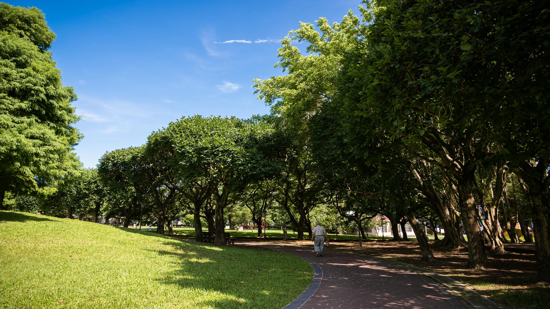 埔頂公園